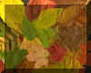 fall_colour.jpg (162591 bytes)