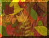 montage1.jpg (184947 bytes)